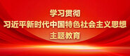 和老逼操的视频学习贯彻习近平新时代中国特色社会主义思想主题教育_fororder_ad-371X160(2)